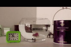 水利萬物而不爭 水電工程監(jiān)理的智慧與擔當