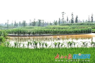 普潤鄉(xiāng)蔡家店村 水利設施改善助力村民發(fā)展水產(chǎn)養(yǎng)殖