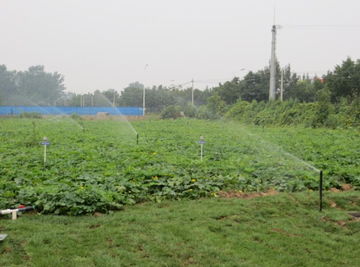 水利部產(chǎn)品質量監(jiān)督總站與中國水利企業(yè)協(xié)會機械分會的角色及其對水利機械產(chǎn)業(yè)發(fā)展的影響